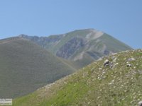 2019-07-06 P. Borghese e Porche 237